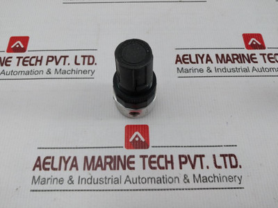 Watts Fluidair R374-01Cp Miniature Air Pressure Regulator