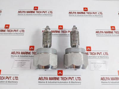 304 Spring Loaded Pressure Relief Valve