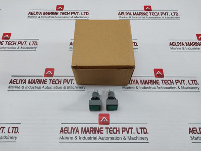 L5. 250V 2W Pushbutton Switch