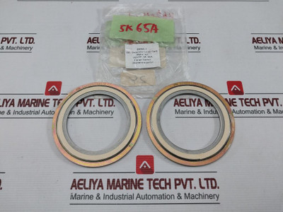 Valqua 304 Flange Gasket