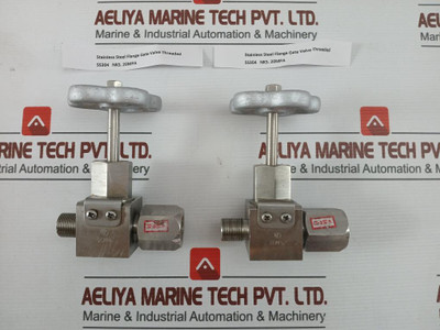 Nks Ss304 Flanged Gate Valve Stainless Steel Threaded, 20Mpa
