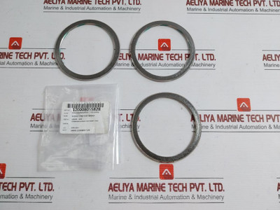 Sealing Gasket For Main Feed Pump 18295 956 Sku : 196585
