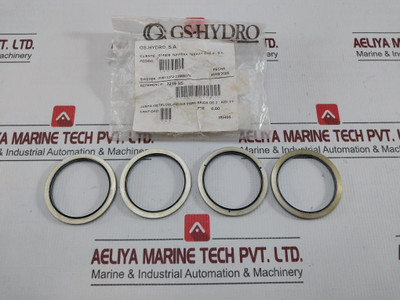 Gs-hydro Bonded Seal 3219 Ss