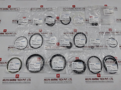 Auma Seal & O-ring Repair Kit Z110.277