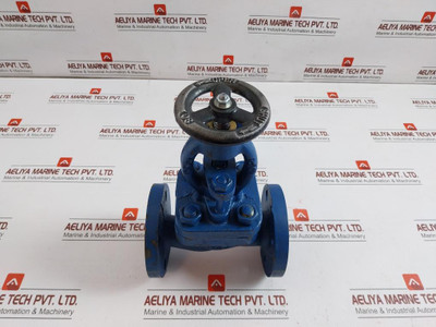 Globe Valve Dn25 In 6.190 Kg