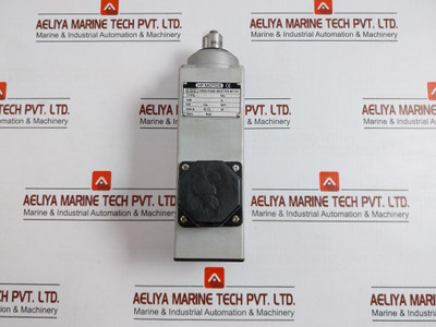 Hsi55/82 High-speed Induction Motor Hf
