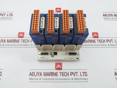 Pcd3.C100 Digital Input Module 8 Inputs 24Vdc By Saia-burgess