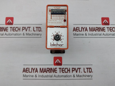 Time Delay Relay 50/60Hz Bircher Tzmp