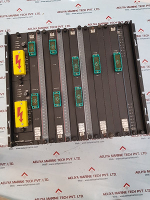 Triconex 03490240 Power Rack Module 8307A 24V Ac/Dc 3000109 3000107 3636R