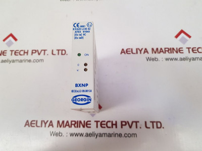 Georgin Bxnp Galvanic Isolated Converter Bxnp13B00-b0 Georgin Bxnp Galvanic Isolated Converter Bxnp13B00-b0