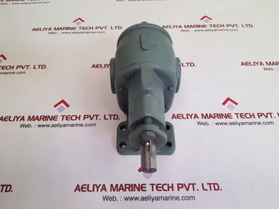 Bsm rotary gear pump Bsm rotary gear pump