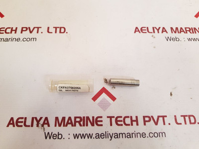 The Lee Ckfa3756205A Lee Check Valve Ql M317670