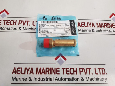 Seetru Tuv Sv 17 893 8 Relief Valve Seetru Tuv Sv 17 893 8 Relief Valve