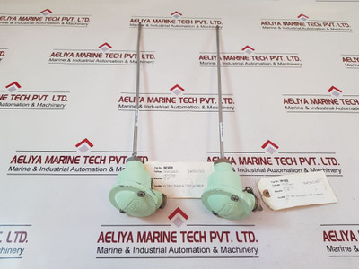 Master 2 Pt 100Â Resistance Temperature Detector