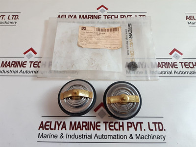 Wahler Thermostat With Seal Ring 80Â°C