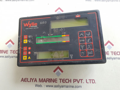 Wylie 250 capacity indicator for safety systems