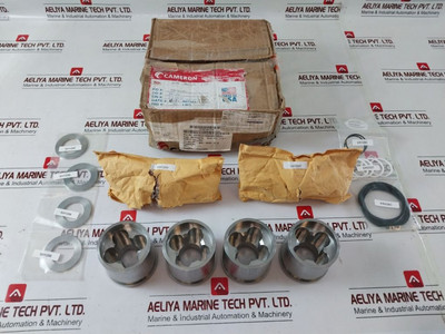 Cameron 2786056-13-99 Shuttle Valve Repair Kit Cameron 2786056-13-99 Shuttle Valve Repair Kit
