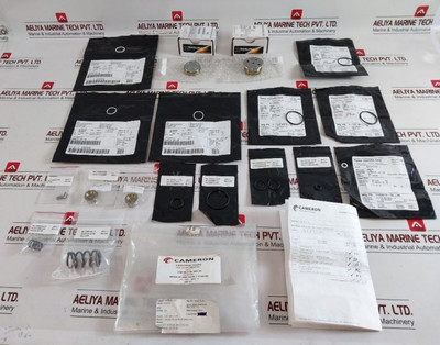 Cameron 2185188-31-99 Drg Valve Repair Kit Cameron 2185188-31-99 Drg Valve Repair Kit