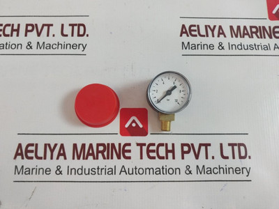 4131291865 Transmitter Pressure Gauge 0 To 10 Bar