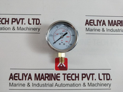 En 837-1 Cl 1.6 Pressure Gauge 0-250 Bar ,0-3600 Psi