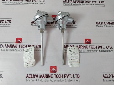 Shanghai Pt100 Thermal Resistance Temperature Sensor Wzp-192