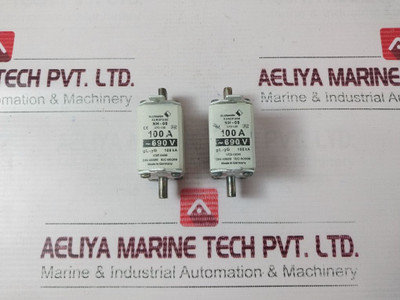 M.Schneider Nh-00 Eurofuse Fuse 100A 690V Ac