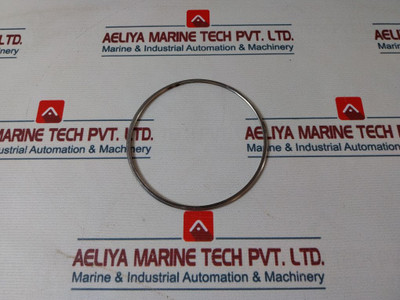 Shinko 7074-12 Governor Valve Liner Gasket 26098