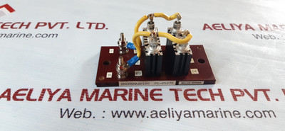 Nihon Inter Electronics 2M6M6Ma4B100 F1-85275 Module Nihon Inter Electronics 2M6M6Ma4B100 F1-85275 Module