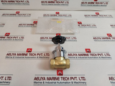 Elro 13-1413 Straight Way Steam Valve 