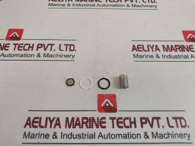 Check Valve Swagelok 302-13K-ch8-1 Spring Kit