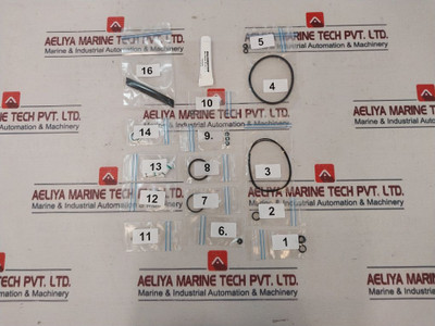 Maximator 3610.0792 Seal Kit For Air Drive