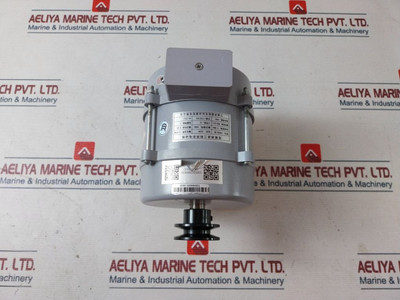 Three-phase Asynchronous Motor Yvp90-6B Ningbo Shenling Three-phase Asynchronous Motor Yvp90-6B Ningbo Shenling