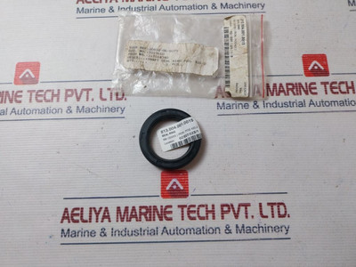 Shaft Seal Ring IronMfc Shaft Seal Ring IronMfc