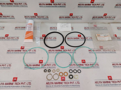 Bettis Cb725/Sr-11 Actuator Seal Kit