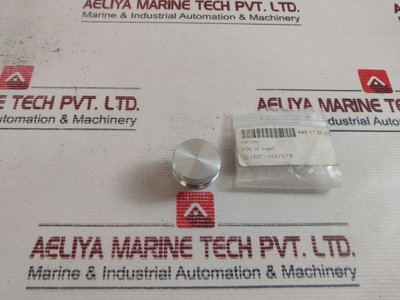 Piston Ridgid 51047 - 448.17.00.032