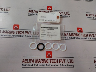Packing Set Nippon Fisher Lv-6003-01A.0006 Packing Set Nippon Fisher Lv-6003-01A.0006