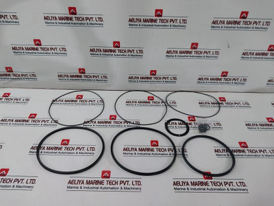 Damcos 219-0313 Hydraulic Actuator Seal Packing Set