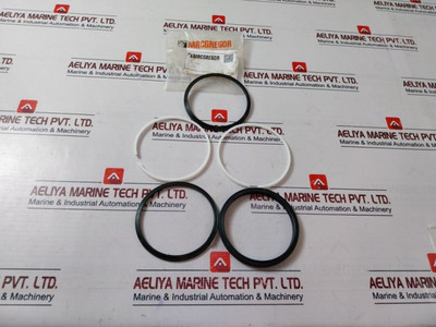 Macgregor Piston Seal Set