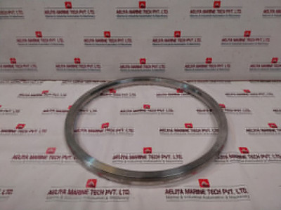 Igp R75 S316 Ring Joint Gasket, Igp, 20" 1500, #R75 S316