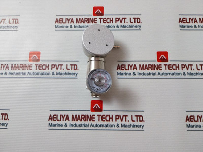 Sgi 0 To 3 L/Mn Demand Flow Regulator