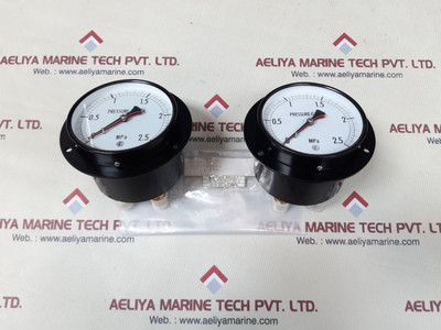 Nks 6744884 pressure gauge 0-2.5 mpa Nks 6744884 pressure gauge 0-2.5 mpa