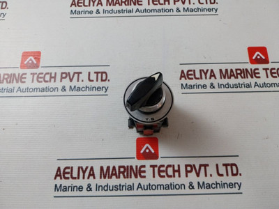 Yongsung C2201 Cam Switch 10A 250Vac Yongsung C2201 Cam Switch 10A 250Vac