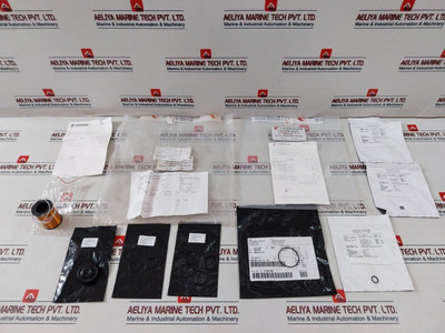 Cameron 2020810-01-88 Repair Kit With Coil 24V