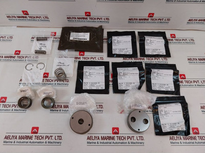 Cameron 2185610-02-99 Valve Repair Kit Cameron 2185610-02-99 Valve Repair Kit