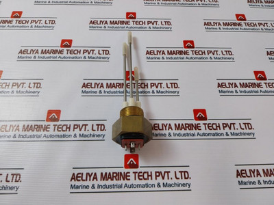 Fischer Nk06 Conductive Level Switch Fischer Nk06 Fischer Nk06 Conductive Level Switch Fischer Nk06