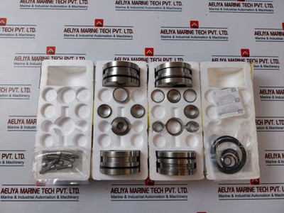 Gilmore 44819-99Rk Regulator Valve Repair Kit Icn 10016557