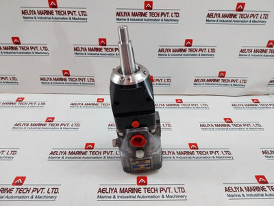 Rotary Power P20P4N6N00 Motor