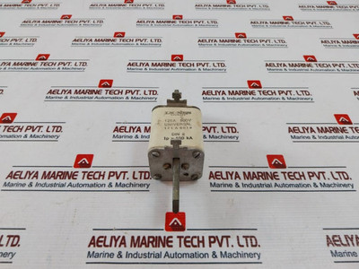 Lk-nes 171A6019 Fuse Universal 125A 500V