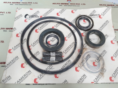 Cameron 644909-03 rebuild kit new