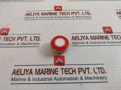 Carbon Monoxide, Citicel, City New